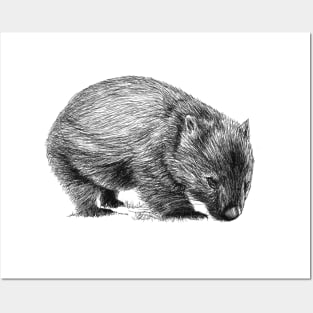 Wombat scientific nature black ink pen drawing illustration Posters and Art